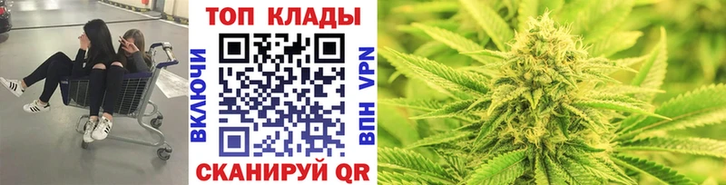 Где продают наркотики Александровск Гашиш  Канабис  A-PVP  Меф мяу мяу  КОКАИН 